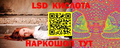 прущие крисы Гатчина
