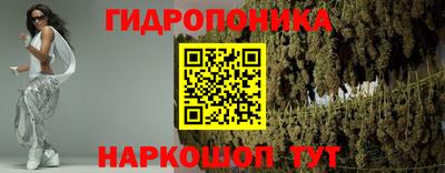 прущие крисы Гатчина