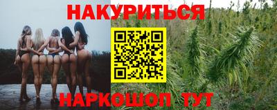 прущие крисы Гатчина