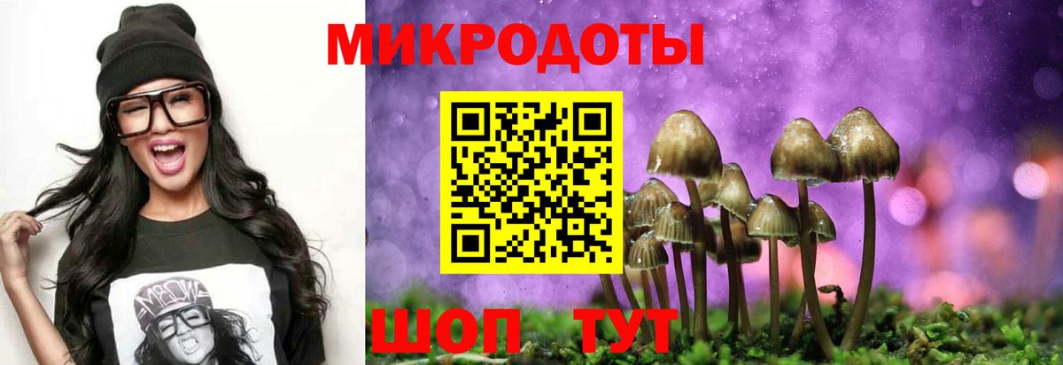 Галлюциногенные грибы MAGIC MUSHROOMS  Вход с VPN  Новосибирск 